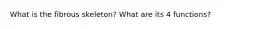 What is the fibrous skeleton? What are its 4 functions?