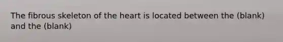 The fibrous skeleton of <a href='https://www.questionai.com/knowledge/kya8ocqc6o-the-heart' class='anchor-knowledge'>the heart</a> is located between the (blank) and the (blank)