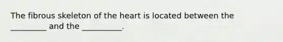 The fibrous skeleton of the heart is located between the _________ and the __________.