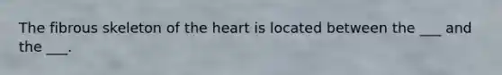 The fibrous skeleton of the heart is located between the ___ and the ___.