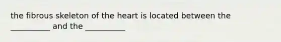 the fibrous skeleton of the heart is located between the __________ and the __________