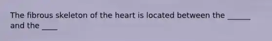 The fibrous skeleton of the heart is located between the ______ and the ____