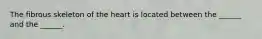 The fibrous skeleton of the heart is located between the ______ and the ______.