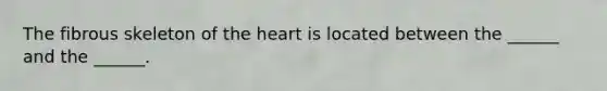 The fibrous skeleton of <a href='https://www.questionai.com/knowledge/kya8ocqc6o-the-heart' class='anchor-knowledge'>the heart</a> is located between the ______ and the ______.