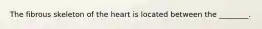 The fibrous skeleton of the heart is located between the ________.