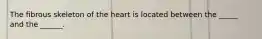 The fibrous skeleton of the heart is located between the _____ and the ______.