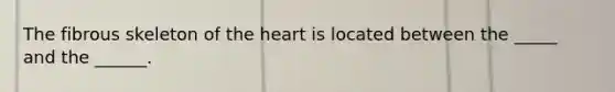 The fibrous skeleton of <a href='https://www.questionai.com/knowledge/kya8ocqc6o-the-heart' class='anchor-knowledge'>the heart</a> is located between the _____ and the ______.