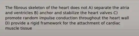 The fibrous skeleton of the heart does not A) separate the atria and ventricles B) anchor and stabilize the heart valves C) promote random impulse conduction throughout the heart wall D) provide a rigid framework for the attachment of cardiac muscle tissue