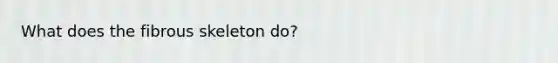 What does the fibrous skeleton do?