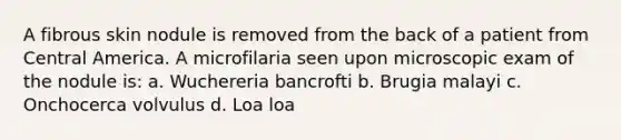 A fibrous skin nodule is removed from the back of a patient from Central America. A microfilaria seen upon microscopic exam of the nodule is: a. Wuchereria bancrofti b. Brugia malayi c. Onchocerca volvulus d. Loa loa