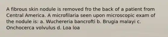A fibrous skin nodule is removed fro the back of a patient from Central America. A microfilaria seen upon microscopic exam of the nodule is: a. Wuchereria bancrofti b. Brugia malayi c. Onchocerca volvulus d. Loa loa