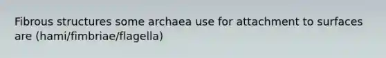 Fibrous structures some archaea use for attachment to surfaces are (hami/fimbriae/flagella)