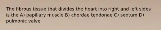 The fibrous tissue that divides the heart into right and left sides is the A) papillary muscle B) chordae tendonae C) septum D) pulmonic valve