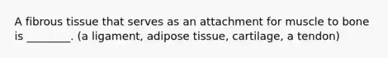 A fibrous tissue that serves as an attachment for muscle to bone is ________. (a ligament, adipose tissue, cartilage, a tendon)