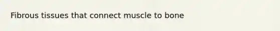 Fibrous tissues that connect muscle to bone