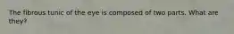 The fibrous tunic of the eye is composed of two parts. What are they?