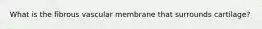 What is the fibrous vascular membrane that surrounds cartilage?