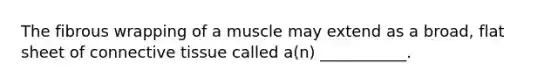 The fibrous wrapping of a muscle may extend as a broad, flat sheet of connective tissue called a(n) ___________.