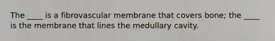 The ____ is a fibrovascular membrane that covers bone; the ____ is the membrane that lines the medullary cavity.