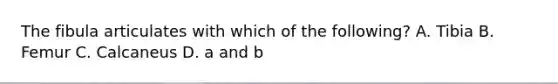 The fibula articulates with which of the following? A. Tibia B. Femur C. Calcaneus D. a and b