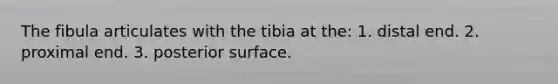 The fibula articulates with the tibia at the: 1. distal end. 2. proximal end. 3. posterior surface.