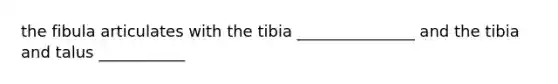 the fibula articulates with the tibia _______________ and the tibia and talus ___________