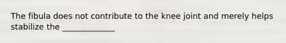 The fibula does not contribute to the knee joint and merely helps stabilize the _____________