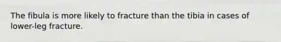 The fibula is more likely to fracture than the tibia in cases of lower-leg fracture.