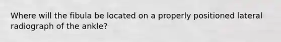 Where will the fibula be located on a properly positioned lateral radiograph of the ankle?