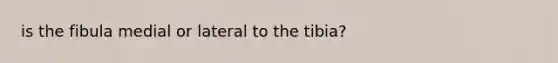 is the fibula medial or lateral to the tibia?