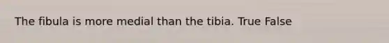 The fibula is more medial than the tibia. True False