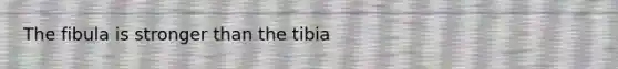 The fibula is stronger than the tibia