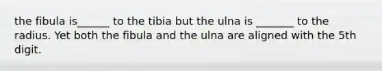 the fibula is______ to the tibia but the ulna is _______ to the radius. Yet both the fibula and the ulna are aligned with the 5th digit.