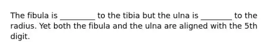 The fibula is _________ to the tibia but the ulna is ________ to the radius. Yet both the fibula and the ulna are aligned with the 5th digit.