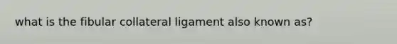 what is the fibular collateral ligament also known as?