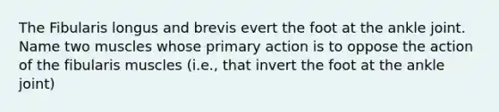 The Fibularis longus and brevis evert the foot at the ankle joint. Name two muscles whose primary action is to oppose the action of the fibularis muscles (i.e., that invert the foot at the ankle joint)