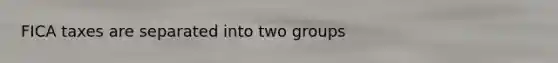 FICA taxes are separated into two groups