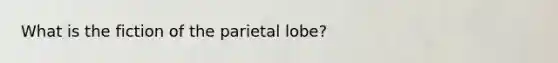 What is the fiction of the parietal lobe?