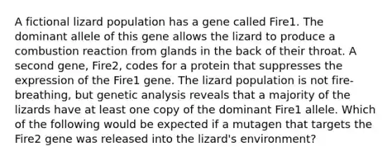 A fictional lizard population has a gene called Fire1. The dominant allele of this gene allows the lizard to produce a combustion reaction from glands in the back of their throat. A second gene, Fire2, codes for a protein that suppresses the expression of the Fire1 gene. The lizard population is not fire-breathing, but genetic analysis reveals that a majority of the lizards have at least one copy of the dominant Fire1 allele. Which of the following would be expected if a mutagen that targets the Fire2 gene was released into the lizard's environment?