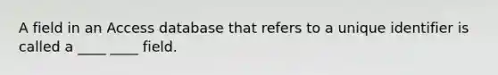 A field in an Access database that refers to a unique identifier is called a ____ ____ field.