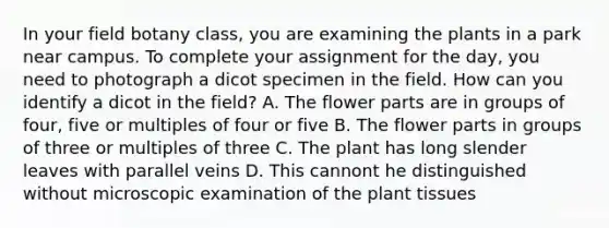 In your field botany class, you are examining the plants in a park near campus. To complete your assignment for the day, you need to photograph a dicot specimen in the field. How can you identify a dicot in the field? A. The flower parts are in groups of four, five or multiples of four or five B. The flower parts in groups of three or multiples of three C. The plant has long slender leaves with parallel veins D. This cannont he distinguished without microscopic examination of the plant tissues