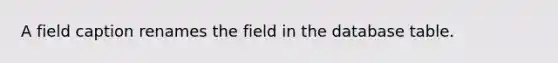 A field caption renames the field in the database table.