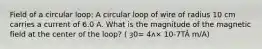 Field of a circular loop: A circular loop of wire of radius 10 cm carries a current of 6.0 A. What is the magnitude of the magnetic field at the center of the loop? ( ȝ0= 4ʌ× 10-7TÂ m/A)