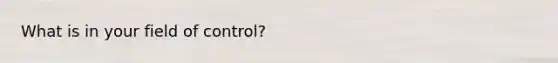 What is in your field of control?