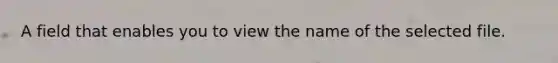 A field that enables you to view the name of the selected file.