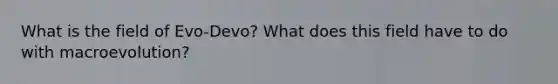 What is the field of Evo-Devo? What does this field have to do with macroevolution?