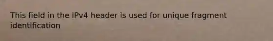 This field in the IPv4 header is used for unique fragment identification