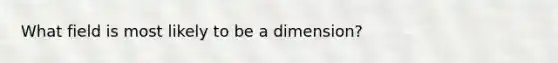 What field is most likely to be a dimension?