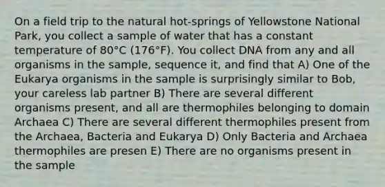 On a field trip to the natural hot-springs of Yellowstone National Park, you collect a sample of water that has a constant temperature of 80°C (176°F). You collect DNA from any and all organisms in the sample, sequence it, and find that A) One of the Eukarya organisms in the sample is surprisingly similar to Bob, your careless lab partner B) There are several different organisms present, and all are thermophiles belonging to <a href='https://www.questionai.com/knowledge/kfXw10Rlnk-domain-archaea' class='anchor-knowledge'>domain archaea</a> C) There are several different thermophiles present from the Archaea, Bacteria and Eukarya D) Only Bacteria and Archaea thermophiles are presen E) There are no organisms present in the sample