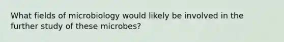 What fields of microbiology would likely be involved in the further study of these microbes?